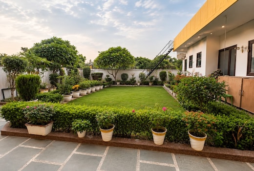 Lime Tree Studios | Huda/Fortis/Max