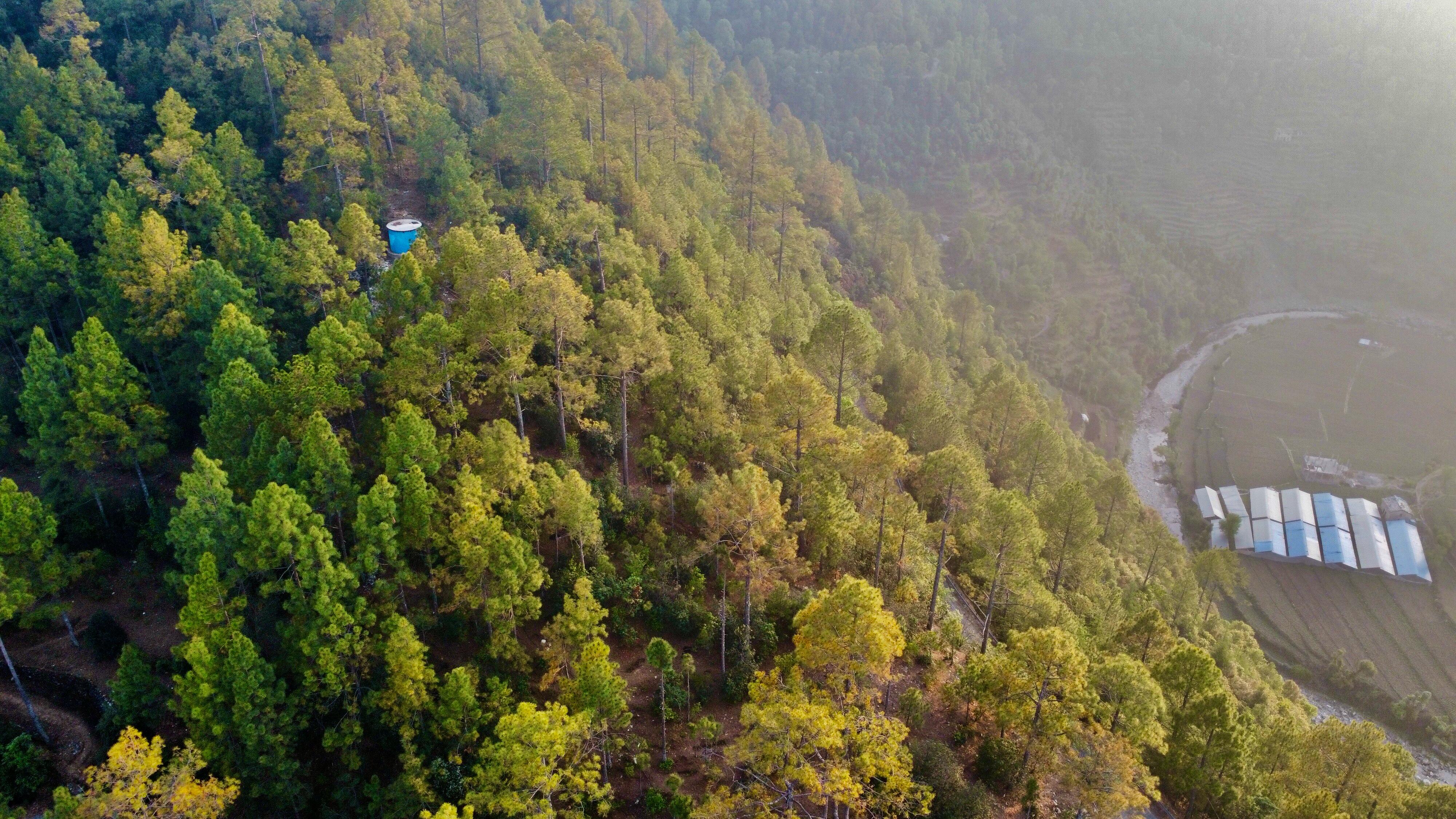 kaushalya nature stay - Tap to explore photos