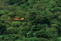Vythiri Resort, Wayanad