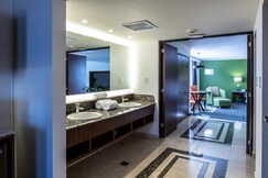 Holiday Inn CIUDAD DE MEXICO-TRADE CENTER, Jilotzingo