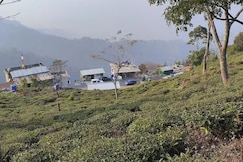 Kolkatawala Homestay and Restaurant, Darjeeling