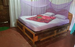 BAMBOO HUT