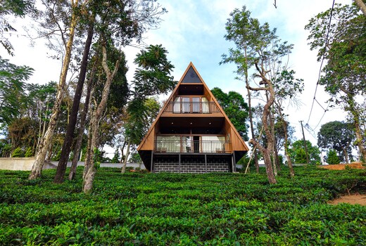 RAIN FOREST BY DWELLSMITH VIRTUE GROUP