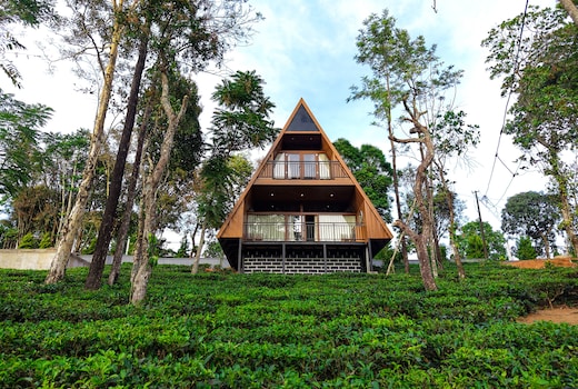 RAIN FOREST BY DWELLSMITH VIRTUE GROUP