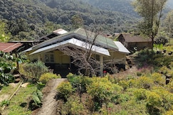 Saneinuo Homestay, Kohima