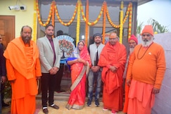 Maple Tree, Prayagraj