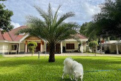 Palm Grove Kerala Green Retreat, Cochin