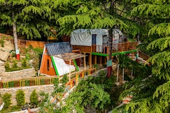 Wildland Adventure CampTree House, Kullu