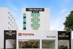 The Pelican, Chandigarh