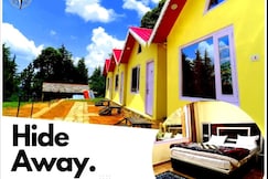 THE HIDE AWAY COTTAGE. HOMESTAY, Chail