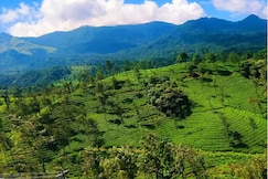 Hillway Resort, Wayanad