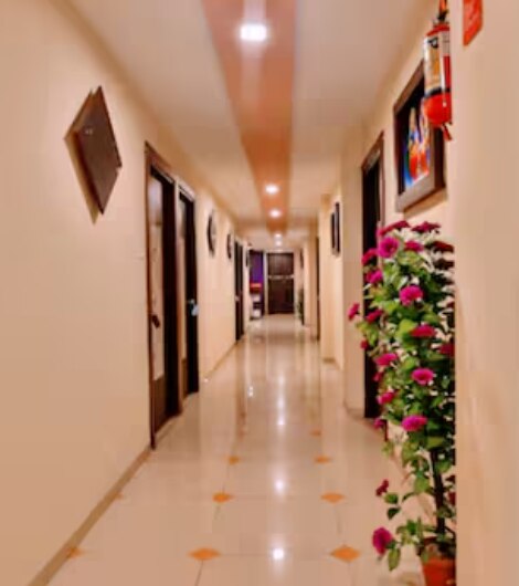 RICHU HOTEL - Tap to explore photos