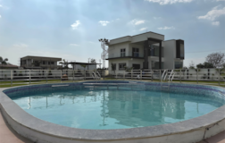 Swimming Pool 1