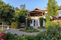 Tree of Life Junoon in The Hills, Kumaon, Kosya Kutauli