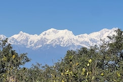 Peak and Pine, Darjeeling