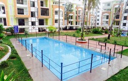 Swimming Pool 1