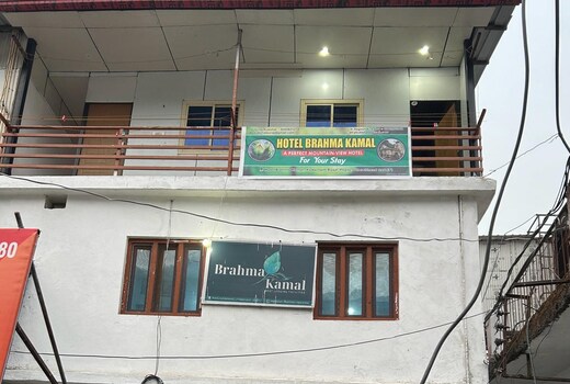 Brahma Kamal @Kedarnath