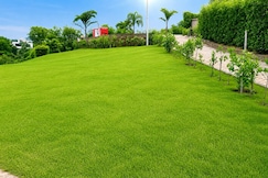 Private farm pool party, Delhi