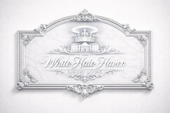 The white halo haven luxury home Rajapark Jaipur, Jaipur