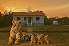 The Tiger Cubs Homestay - Katarniaghat Wildlife Sanctuary - The Helping Hand, Biswan