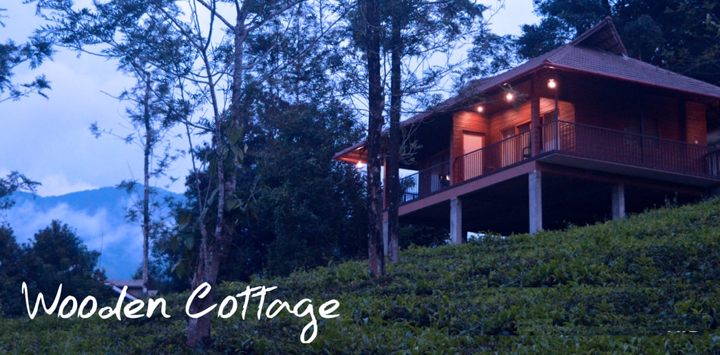 Vythiri Tea Garden Retreat Wayanad Cottage Price Address Reviews