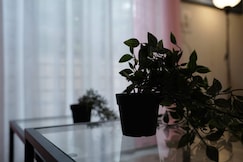 Sliceinn Prism, Bangalore