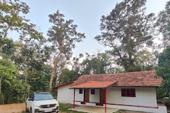 Coorg Farmscape - Coffee Estate, Coorg