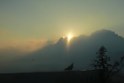 Blue Moon Stay 2, Darjeeling