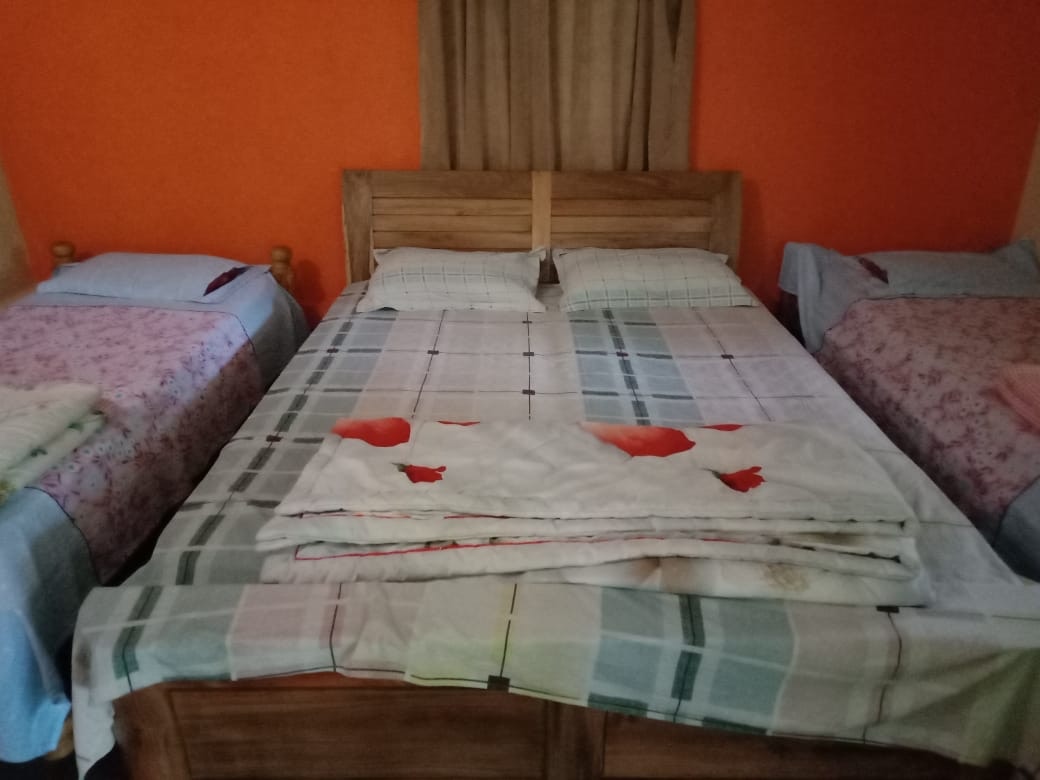 Junglebliss homestay - Tap to explore photos