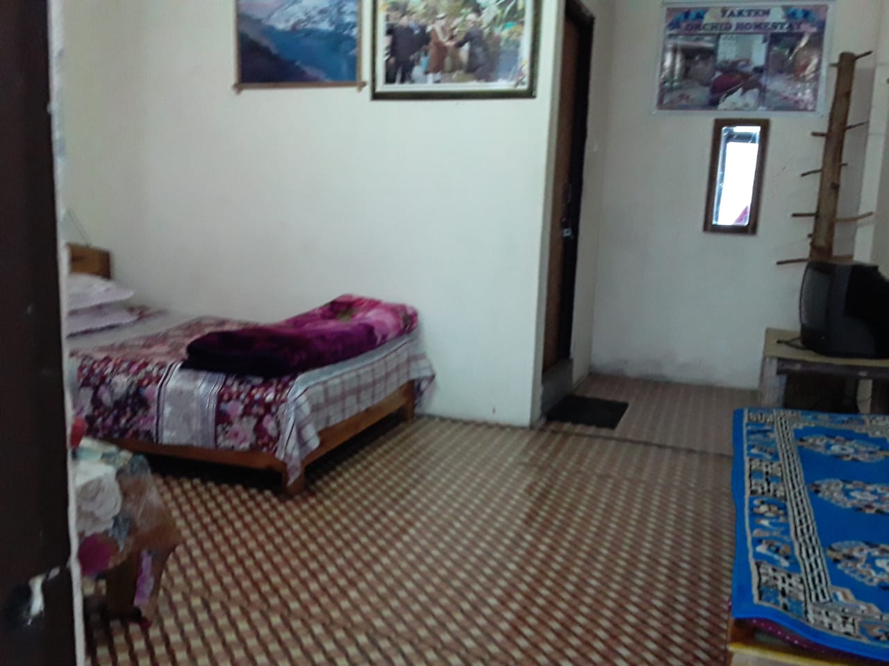 Orchid Homestay - Tap to explore photos