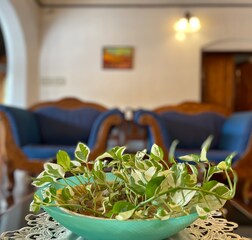 Living Room 1