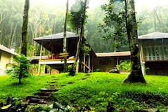 Lanternstay Jungle Resort, Wayanad