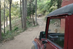 Secret Valley Jungle Resort, Ooty