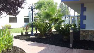 SureStay Plus Hotel by Best Western Sacramento Cal Expo - Tap to explore photos