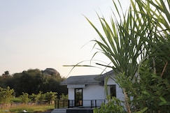 Courtyard Balecha, Falna