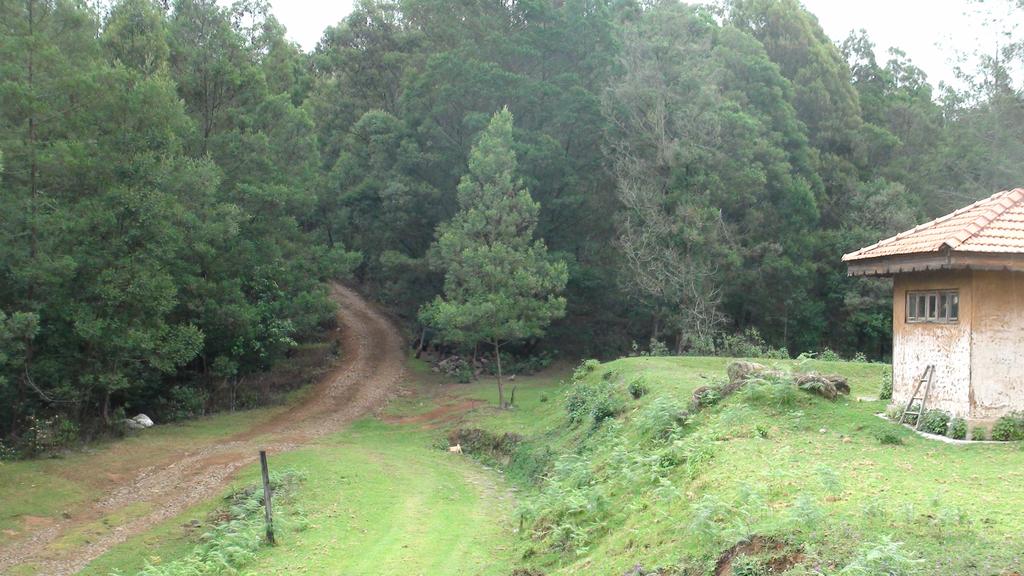 Eco Hostel Kodaikanal - Tap to explore photos