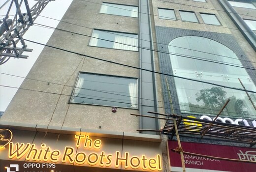 THE WHITE ROOTS