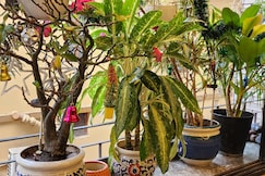 ApartOfCalcutta, Howrah