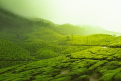 Ooty Cottage In Gypsie Land, Ooty