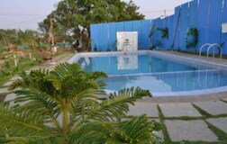 Swimming Pool 1