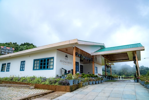 Avongrove Tea Boutique Bungalow (Premium 4 bedroom Villa)