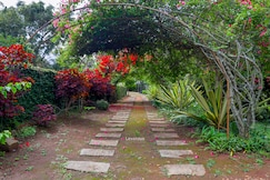 42 Green pastures tea Estate Experience By LexStays, Coonoor