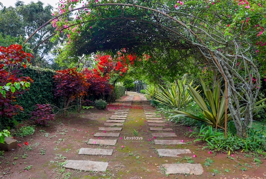 42 Green pastures tea Estate Experience By LexStays