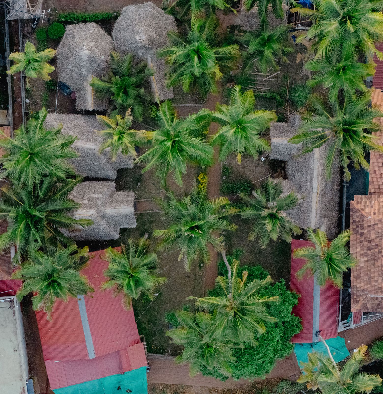Bamboo Village - Tap to explore photos