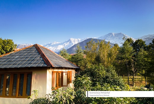 Farm Birdhouse Studio