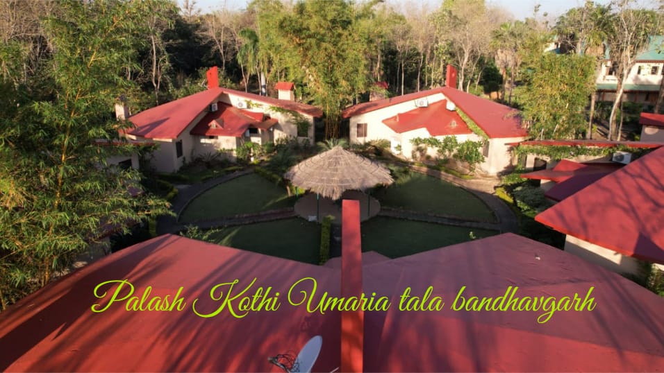 PALASH KOTHI - Tap to explore photos
