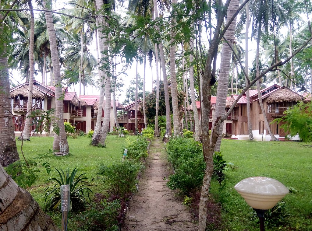 The Kingdom Havelock Inr 820 Off 4 2 0 0 Price Address