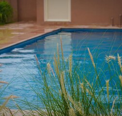 Swimming Pool 1