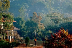 Eletaria Resort Thekkady | Best Cardamom Plantation Experience, Kuttikkanam