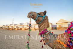 Emirates Luxury Desert Camp, Jaisalmer
